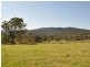 Kimbriki NSW 2429