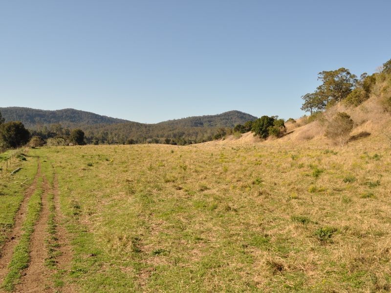 Kimbriki NSW 2429