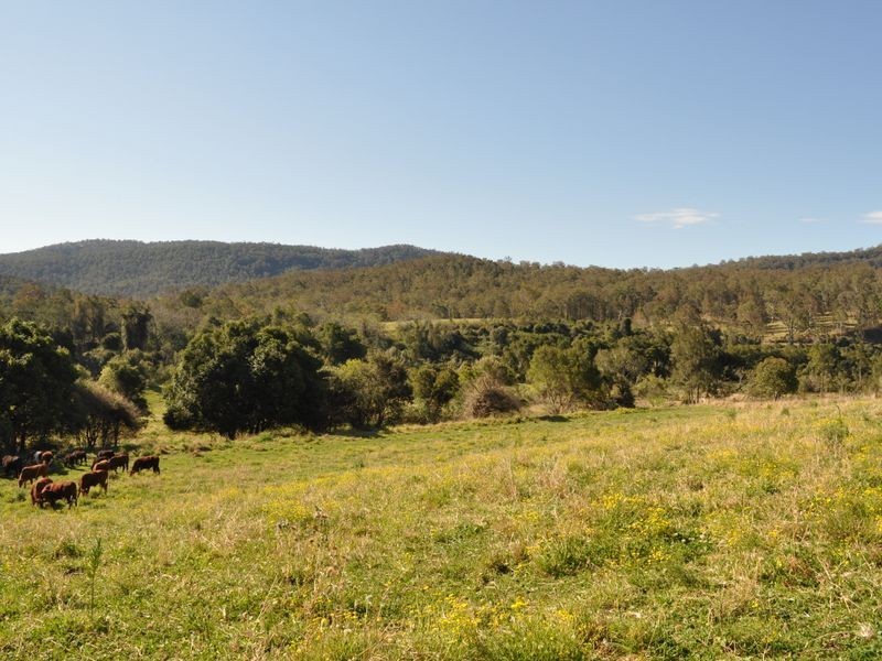Kimbriki NSW 2429