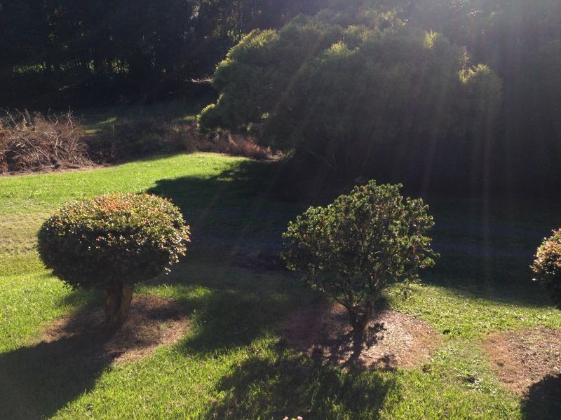 661 Hannam Vale Road, Stewarts River NSW 2443