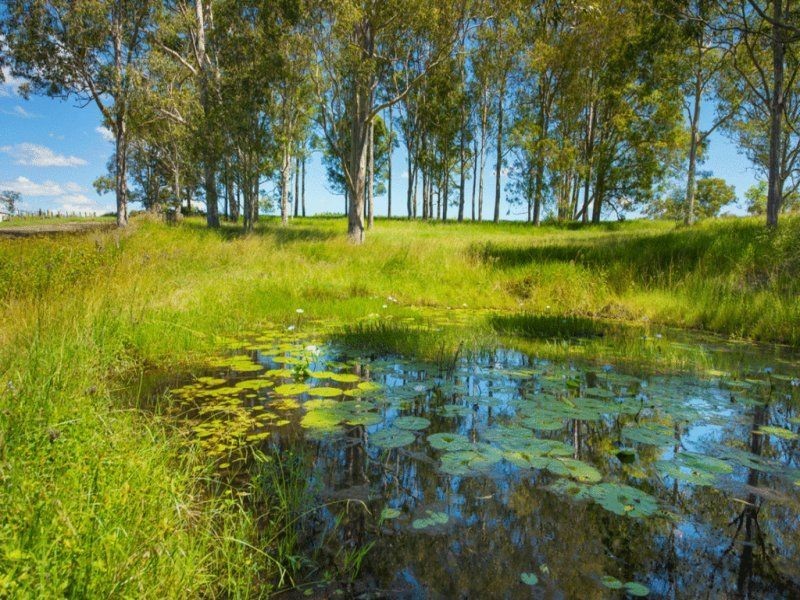 79 Glenyarra Road, Wingham NSW 2429