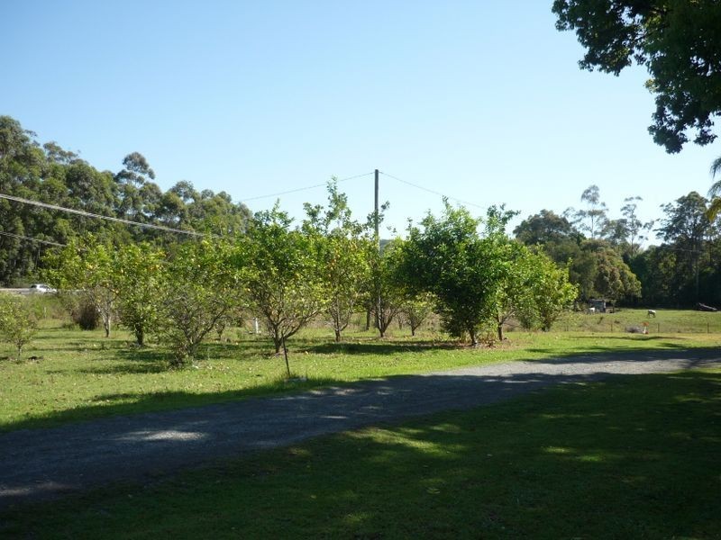 The Lodge/86A Johns River Road, Johns River NSW 2443
