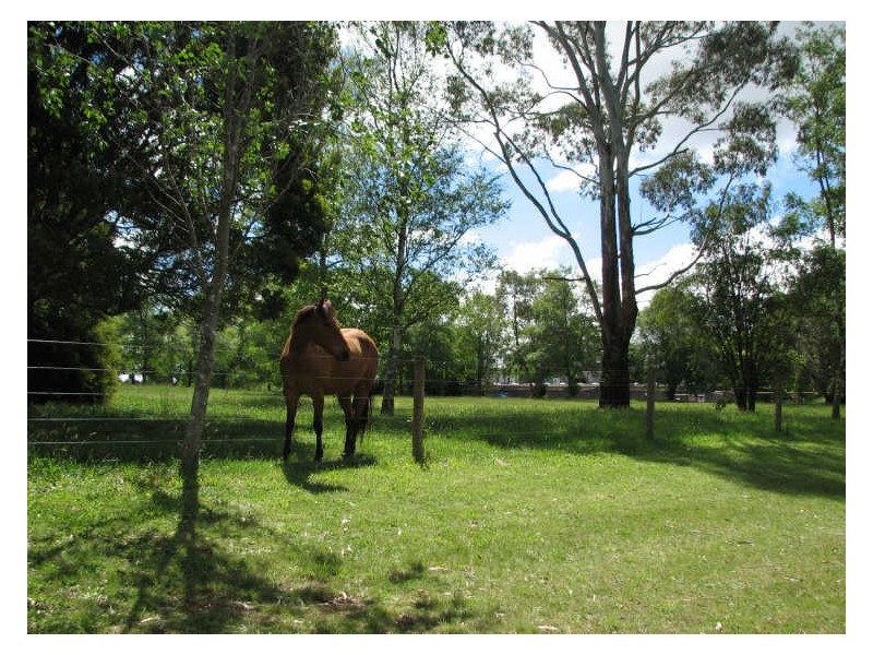 Knotts Siding Road, Rawson VIC 3825