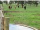 4244 Old Sale Road, Westbury VIC 3825