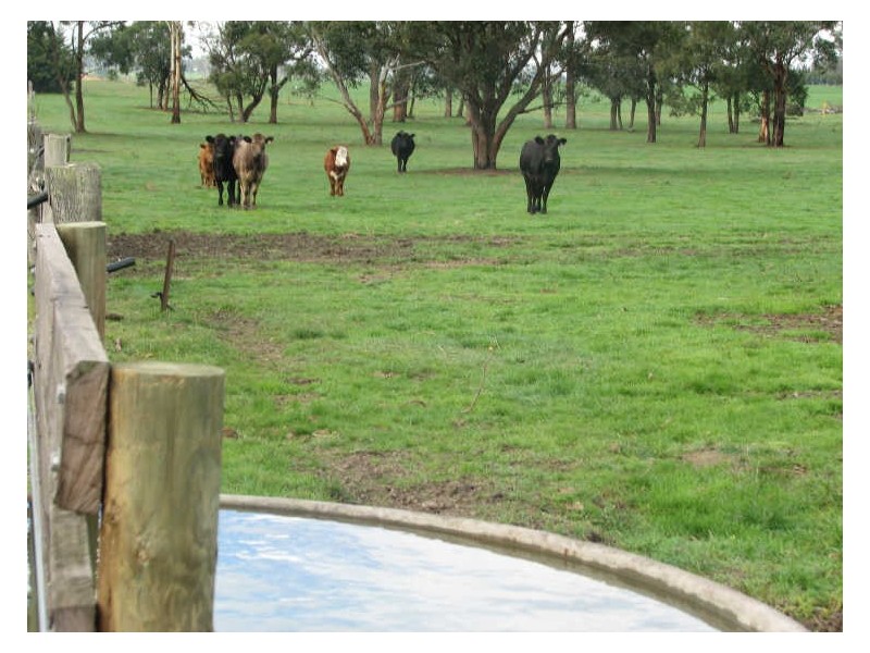 4244 Old Sale Road, Westbury VIC 3825