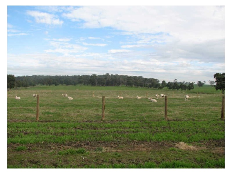 4244 Old Sale Road, Westbury VIC 3825