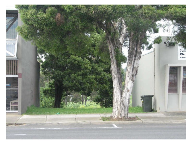 36 Queen Street, Warragul VIC 3820