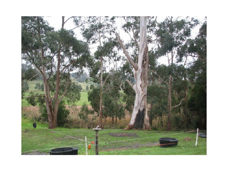 80 Two Mile Road, Newborough VIC 3825