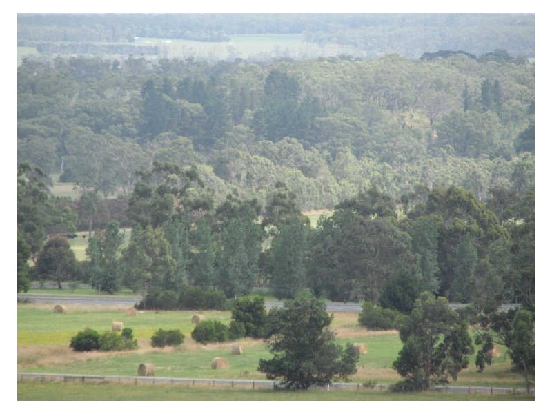 5 Sharnee Court, Moe VIC 3825