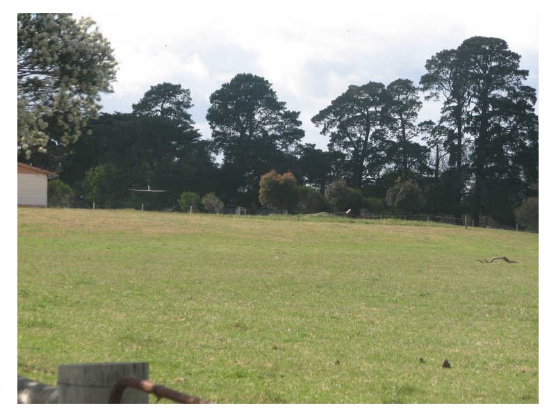 38 Bassetts Lane, Glengarry VIC 3854