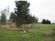 Moe South Road, Aberfeldy VIC 3825