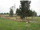 Moe South Road, Aberfeldy VIC 3825