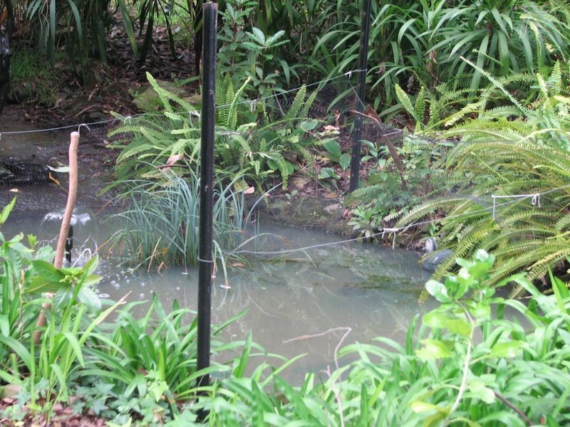 8 Kandra Road, Moe VIC 3825