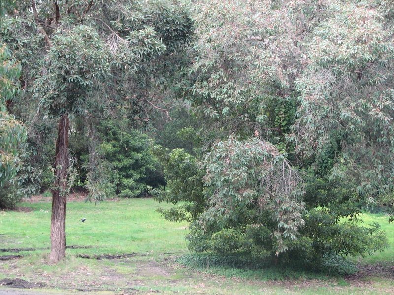 8 Kandra Road, Moe VIC 3825