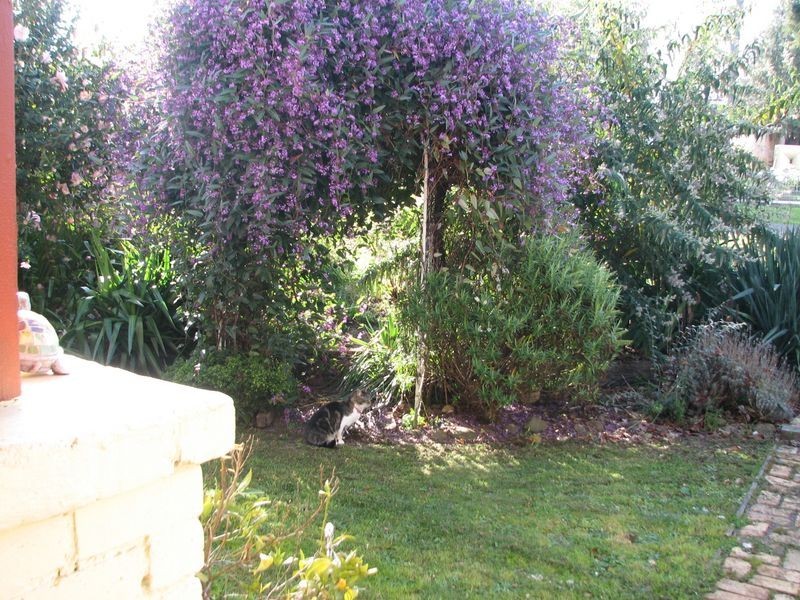 7 Henty Street, Erica VIC 3825