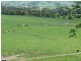64 Sheehan Road, Yarragon VIC 3823