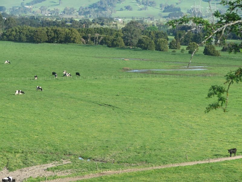 64 Sheehan Road, Yarragon VIC 3823