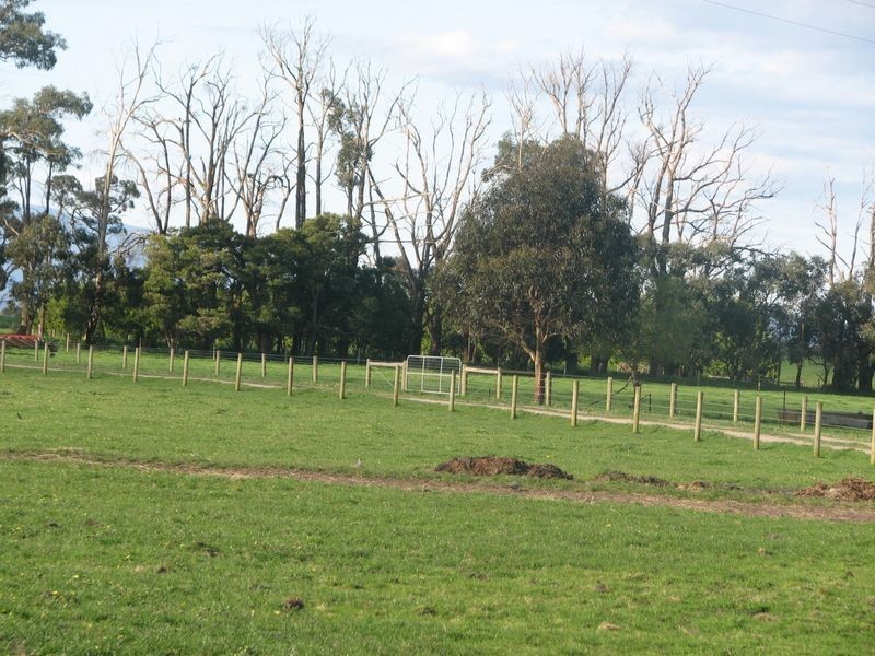 64 Sheehan Road, Yarragon VIC 3823