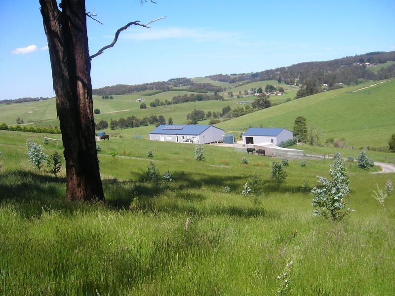 227 Coalville Road, Aberfeldy VIC 3825