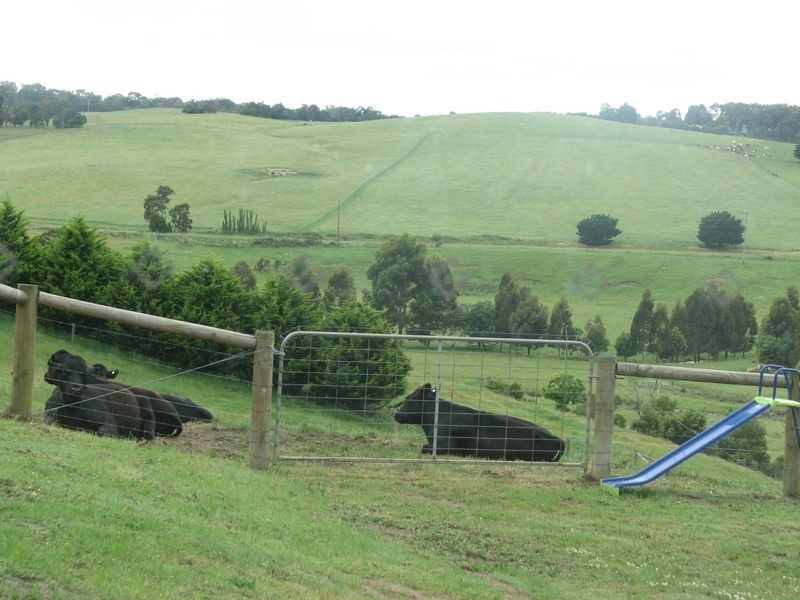 227 Coalville Road, Aberfeldy VIC 3825