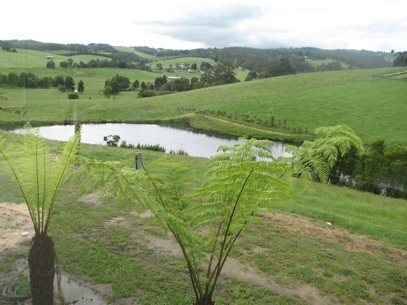 227 Coalville Road, Aberfeldy VIC 3825