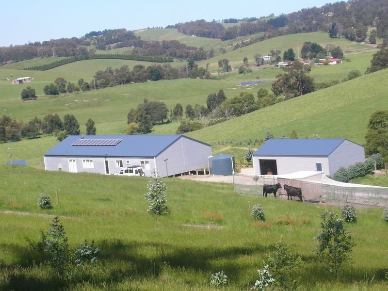 227 Coalville Road, Aberfeldy VIC 3825