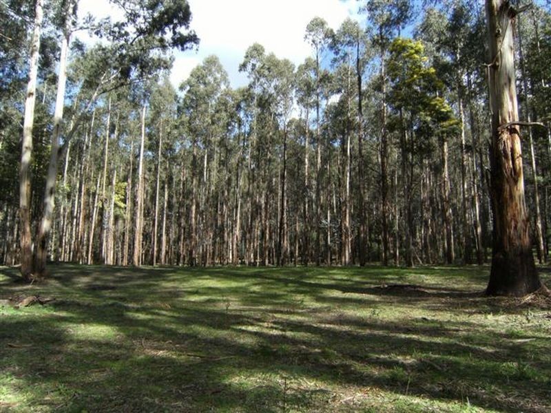 Lot 15 Rusks Road, Erica VIC 3825