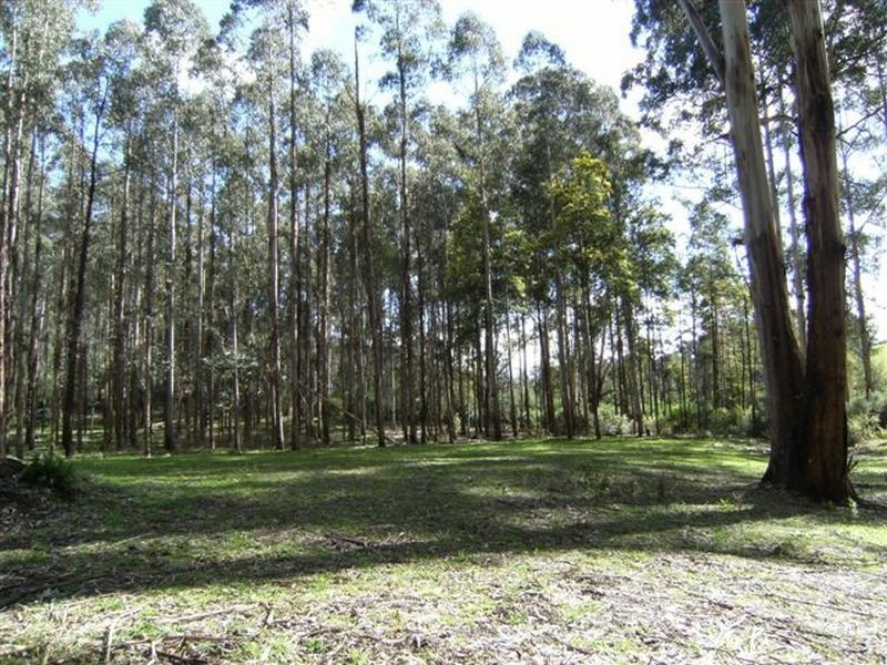 Lot 15 Rusks Road, Erica VIC 3825