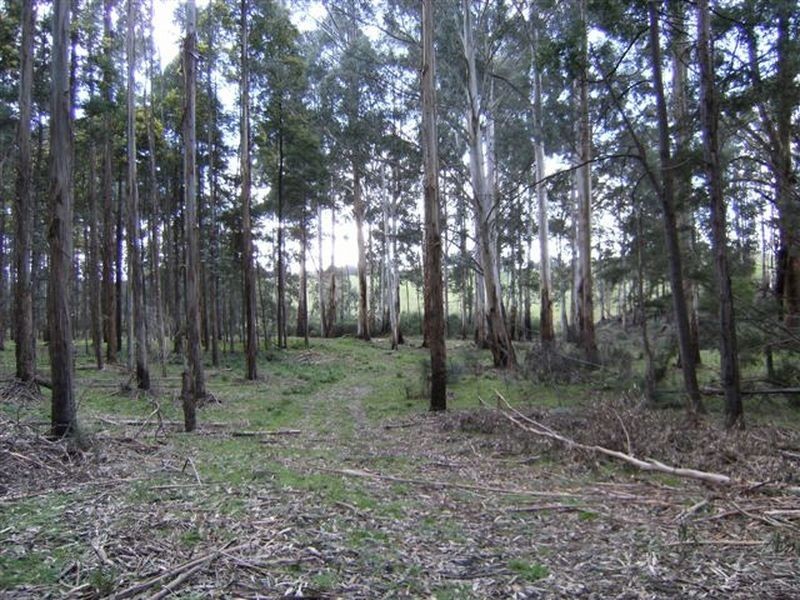 Lot 15 Rusks Road, Erica VIC 3825