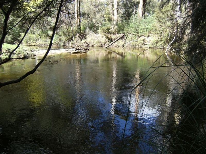 Lot 15 Rusks Road, Erica VIC 3825