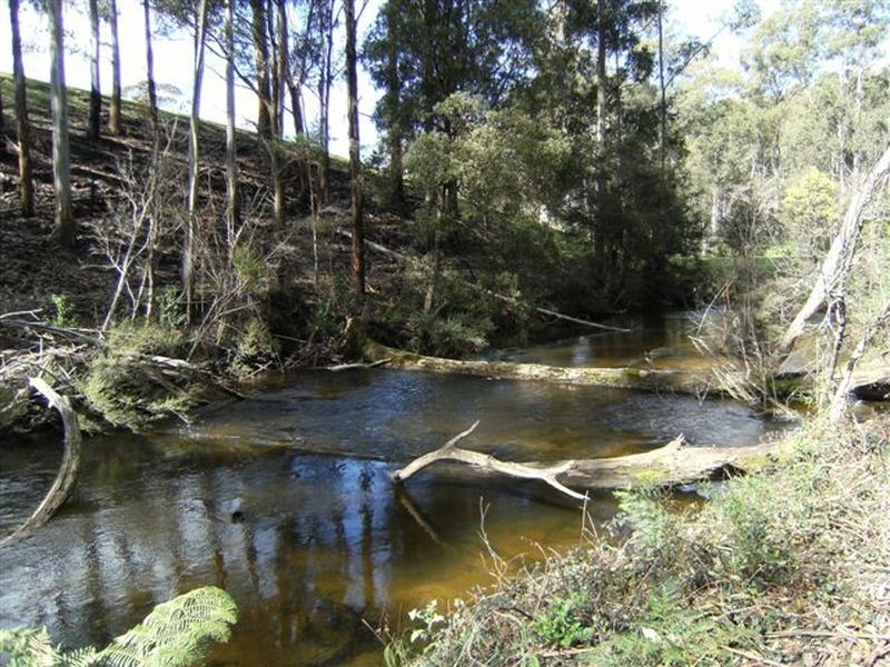 Lot 15 Rusks Road, Erica VIC 3825