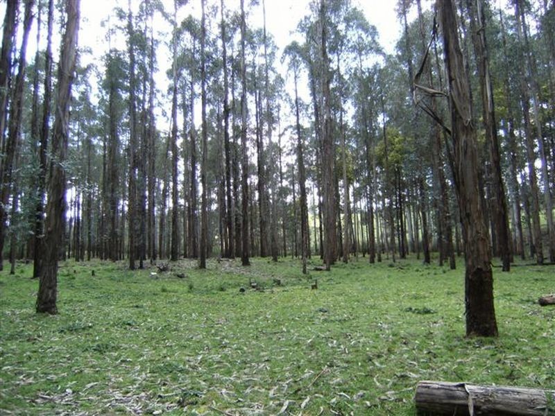 Lot 15 Rusks Road, Erica VIC 3825