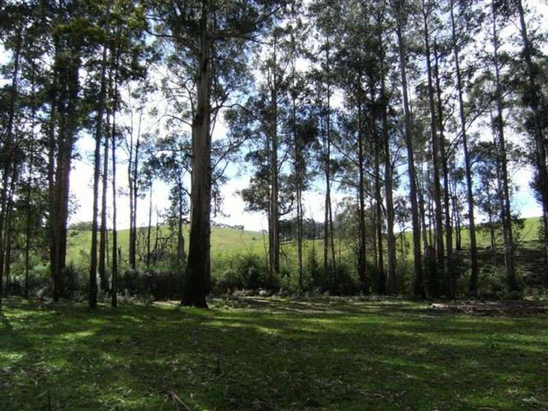 Lot 15 Rusks Road, Erica VIC 3825