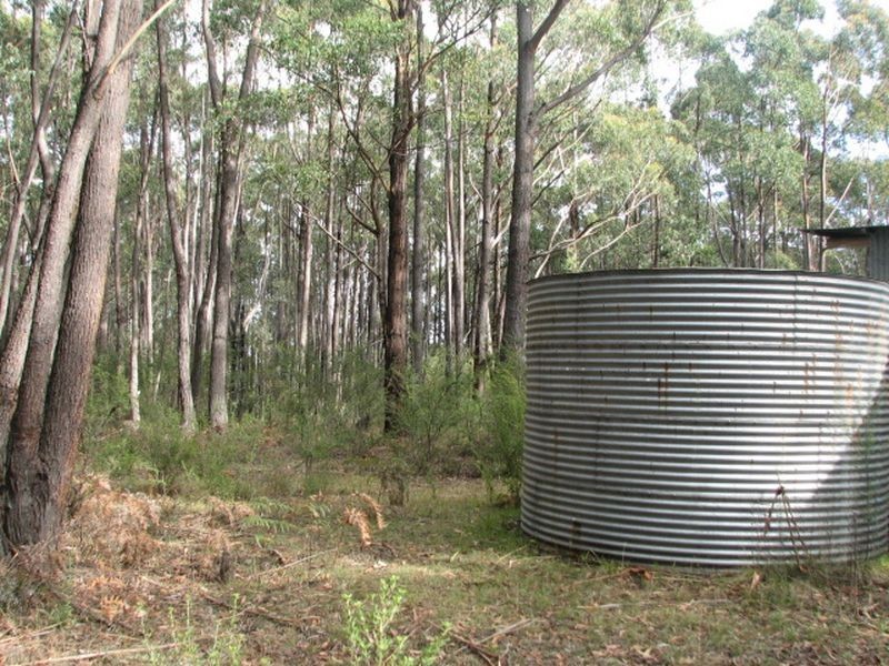 Lot 3 Bluffs Road, Aberfeldy VIC 3825