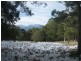 Walhalla Road, Aberfeldy VIC 3825