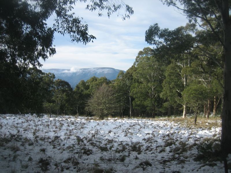 Walhalla Road, Aberfeldy VIC 3825