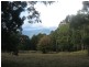 Walhalla Road, Aberfeldy VIC 3825