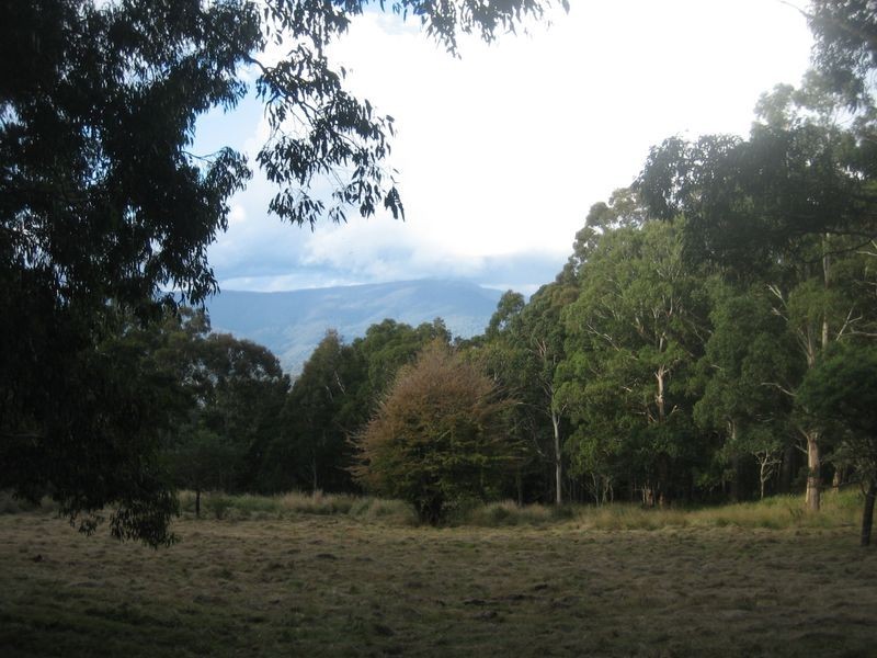 Walhalla Road, Aberfeldy VIC 3825