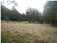 Walhalla Road, Aberfeldy VIC 3825