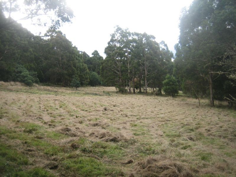 Walhalla Road, Aberfeldy VIC 3825