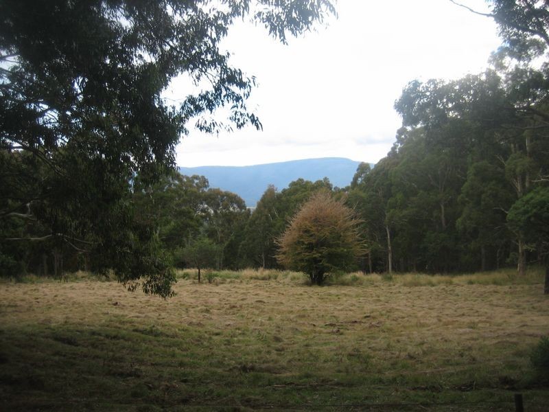 Walhalla Road, Aberfeldy VIC 3825