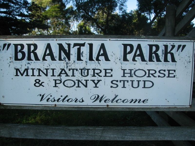 11 Hasthorpe Road, Tanjil South VIC 3825