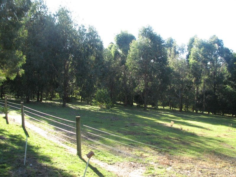11 Hasthorpe Road, Tanjil South VIC 3825