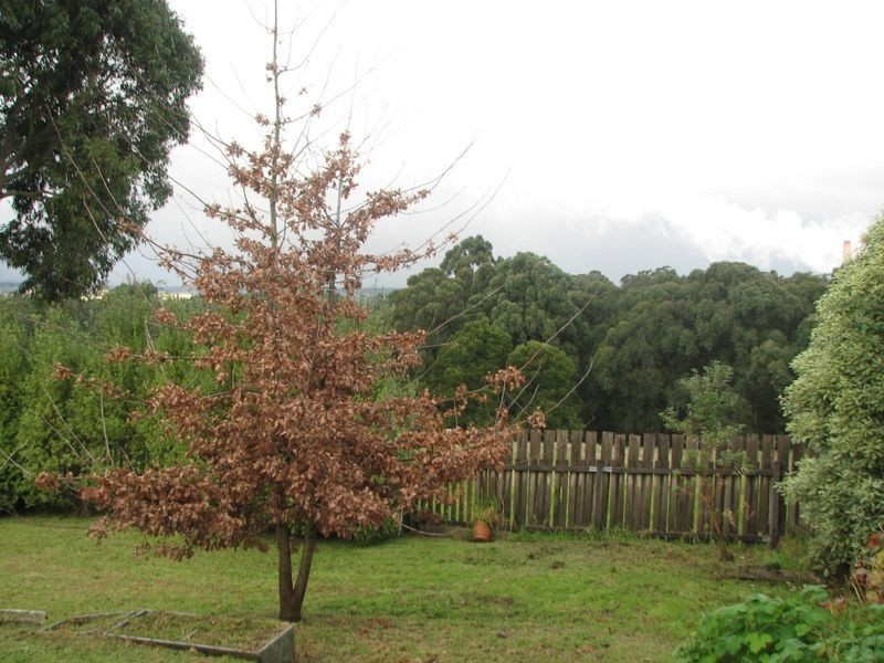 27 Boundary Road, Yallourn North VIC 3825