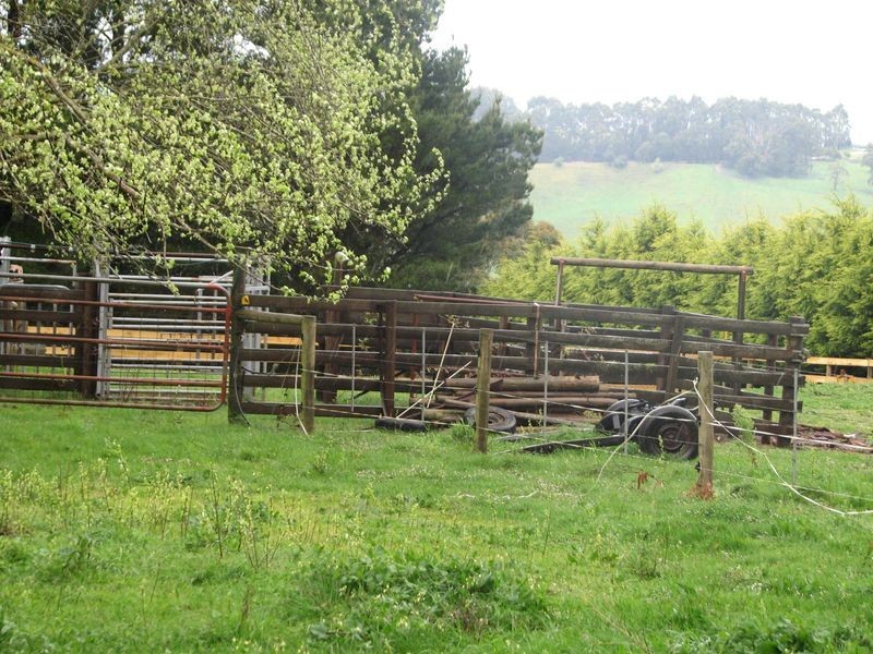 455 Moe South Road, Aberfeldy VIC 3825