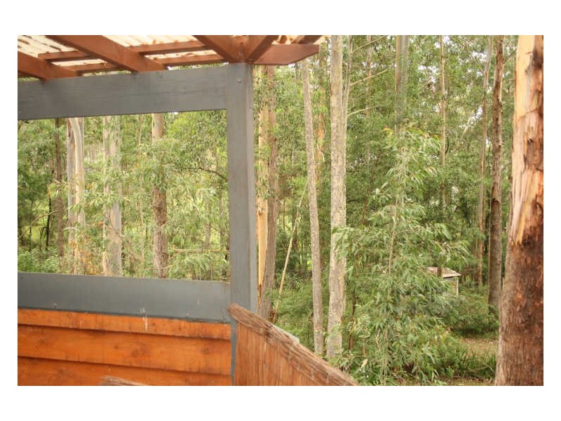 3B Baffler Pl, Bangalee NSW 2541