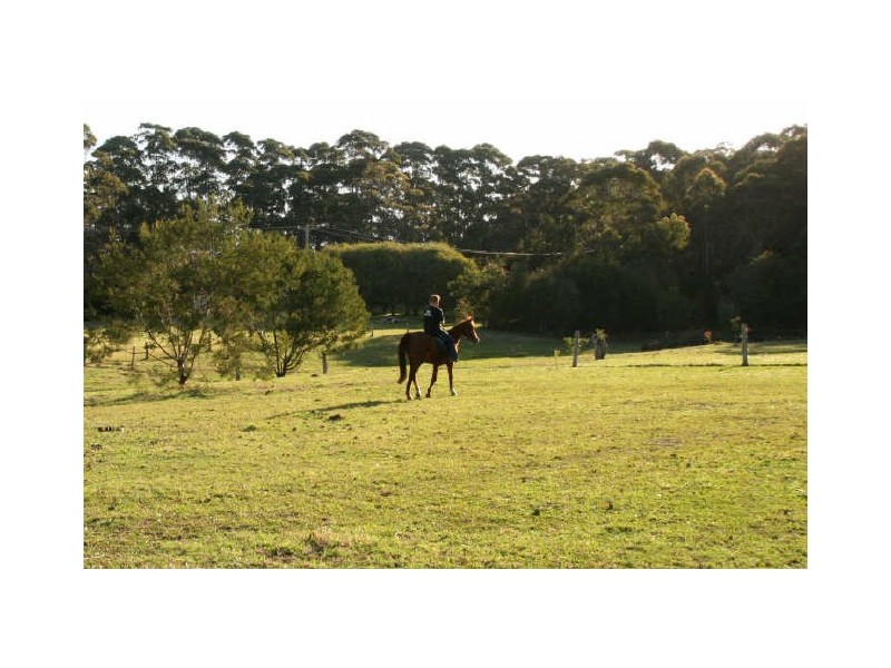 43A Battunga Drive, Tomerong NSW 2540