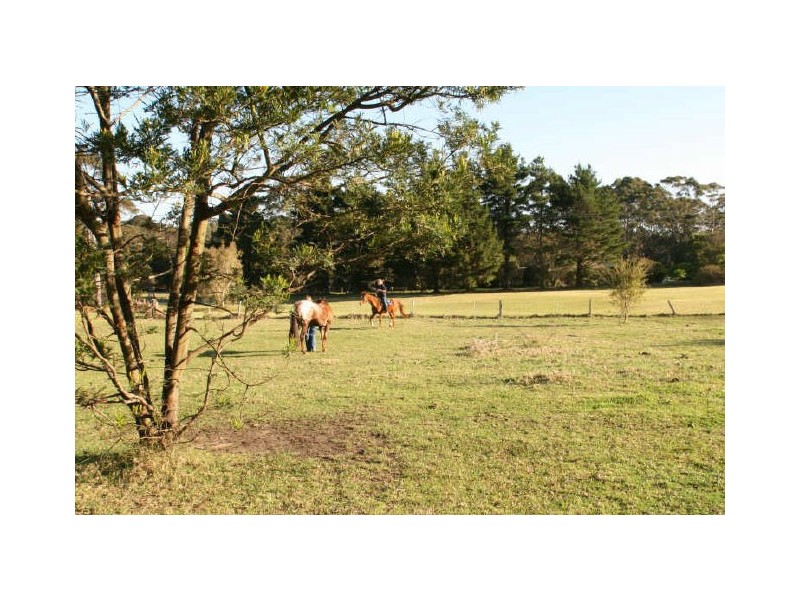 43A Battunga Drive, Tomerong NSW 2540