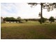 64 Watt Road, Falls Creek NSW 2540