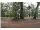 861A Sussex Inlet Road, Sussex Inlet NSW 2540